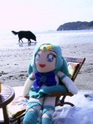 �{�[���V�тɂ�����҂�h�L�h�L