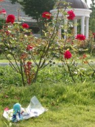 �����ˁc��������炢�ɂ͋߂Â��Ă�������c