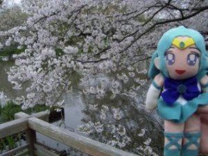 �J�����ڐ���